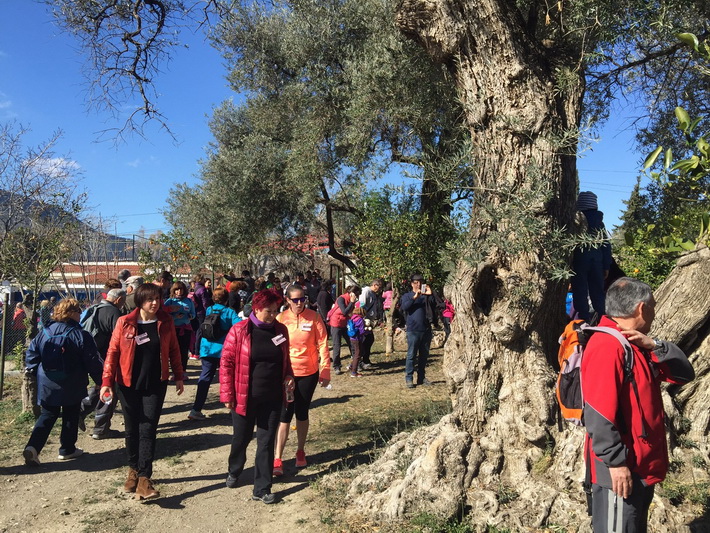 Órgiva prepara la VI marcha solidaria Caminando contra el Cáncer 